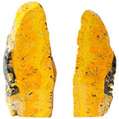 Bumblebee Jasper Bookends