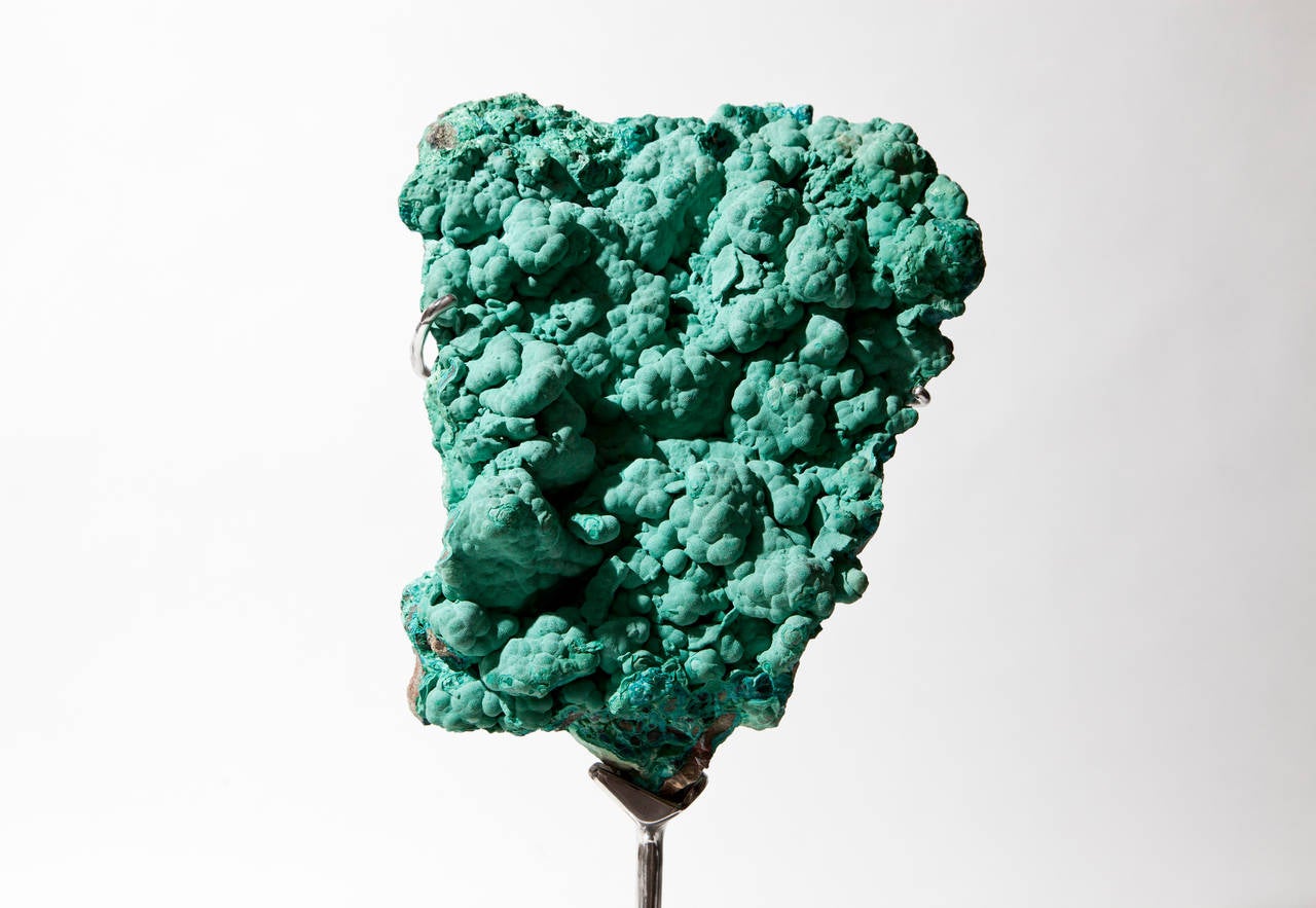 About Dale Rogers

Since 1986 Dale has been sourcing the most unique fossils and minerals from around the world and through his company Dale Rogers Ammonite has been supplying leading interior designers and collectors with some of earth’s most