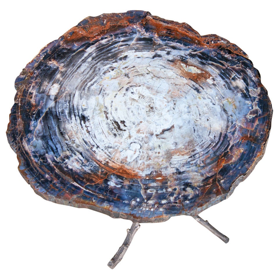 Arizona Fossilised Wood Table