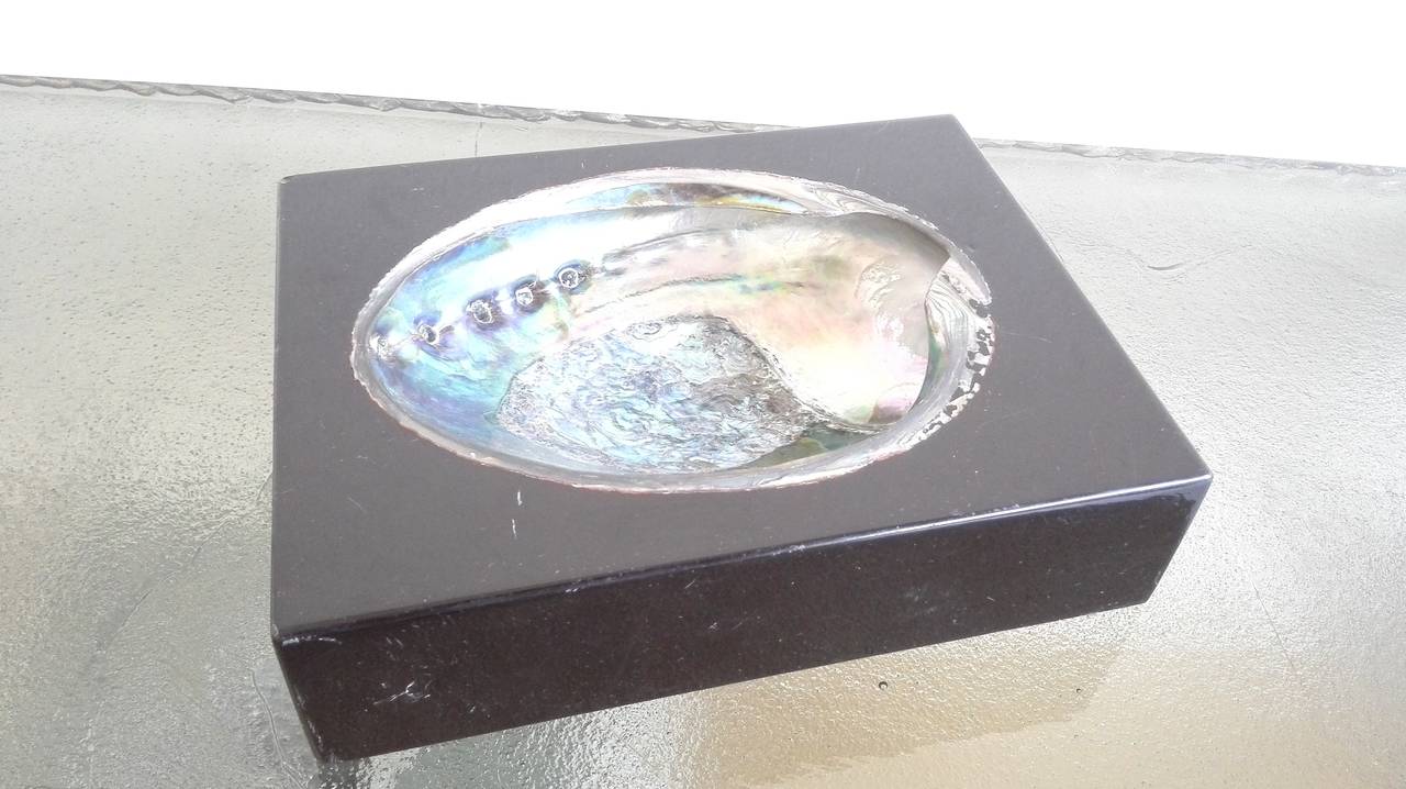 Shell in Resin Vide Poche or Ashtray, France, 1970s In Good Condition In New York, NY