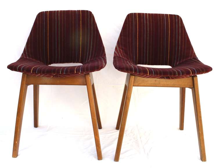 French set of 4 Tonneau Amsterdam chairs by Pierre Guariche - France 1950's