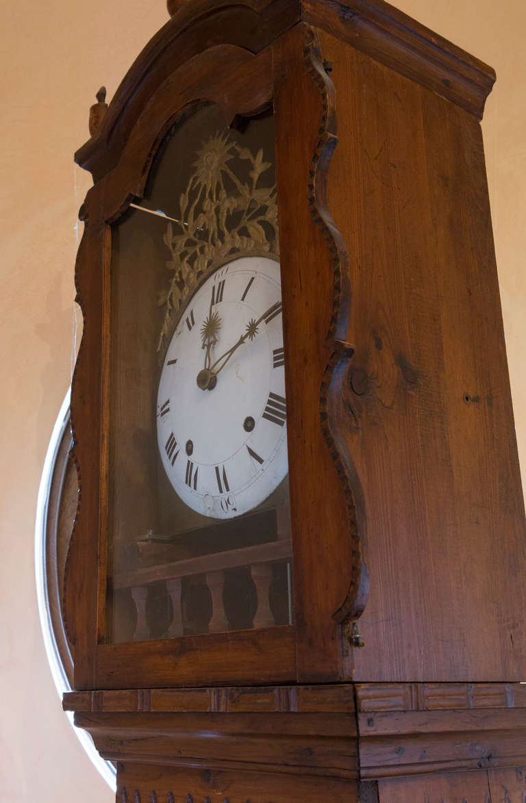 19th Century French Tall Case Clock 1