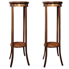 Pair of 19th Century Regency Plant Stands