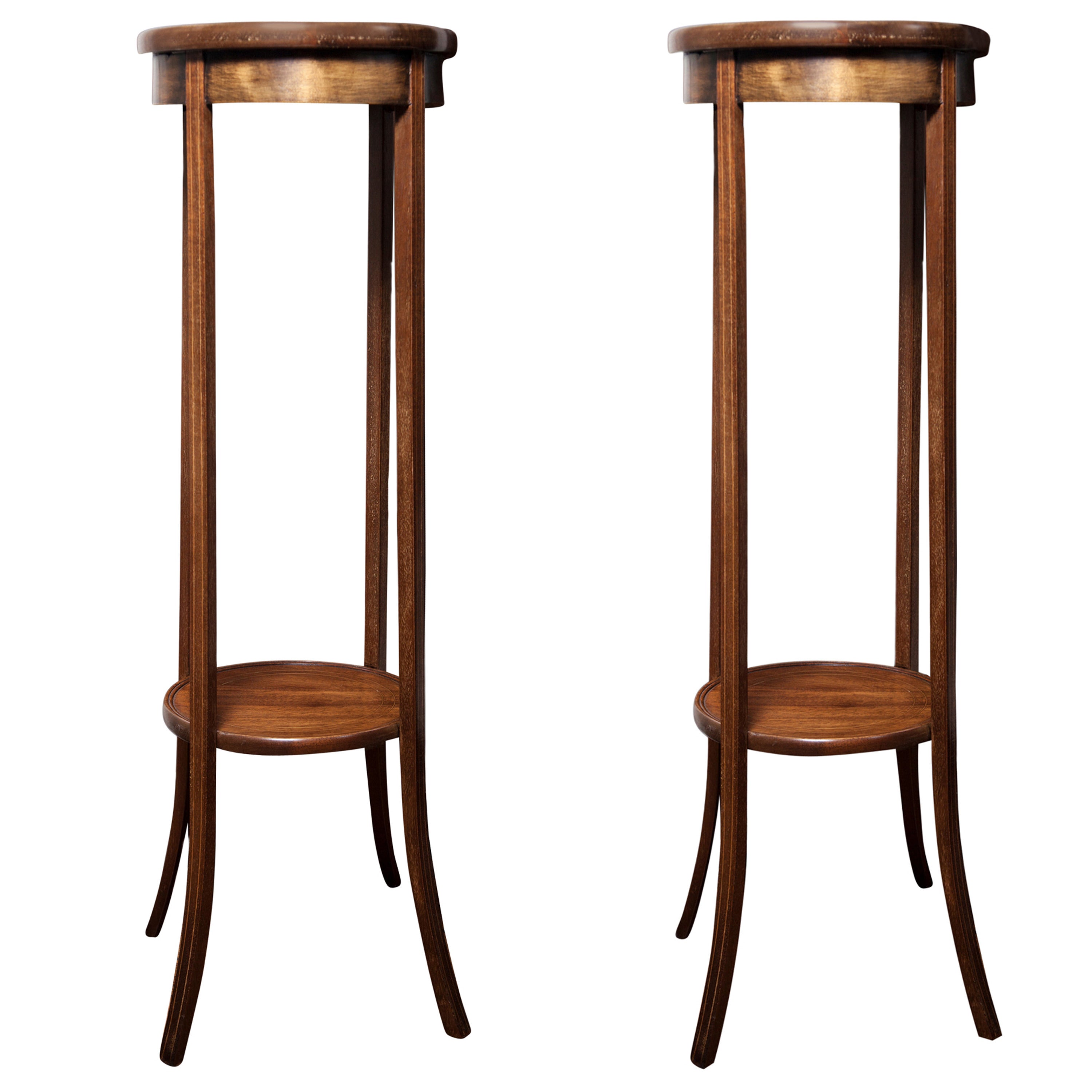Pair of 19th Century Regency Plant Stands For Sale