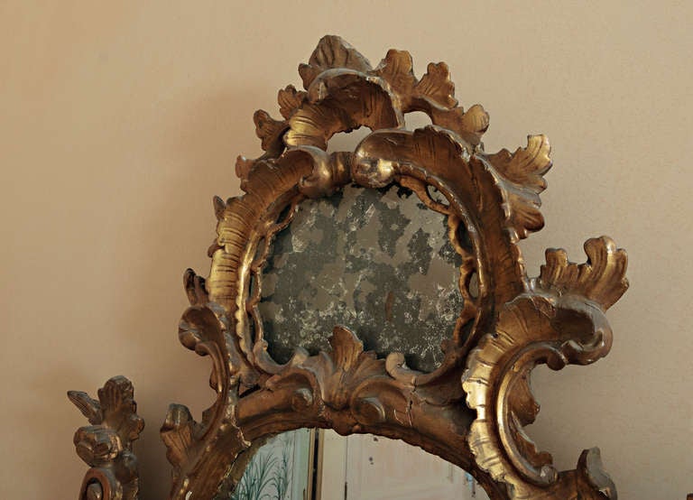 18th Century Italian Rococo Wood Carved Mirror For Sale at 1stdibs
