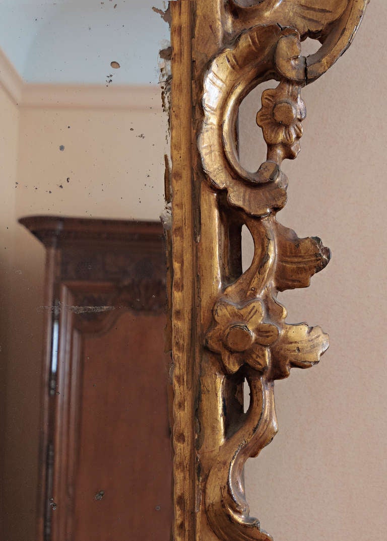 Giltwood 18th Century Italian Rococo Wood Carved Mirror For Sale