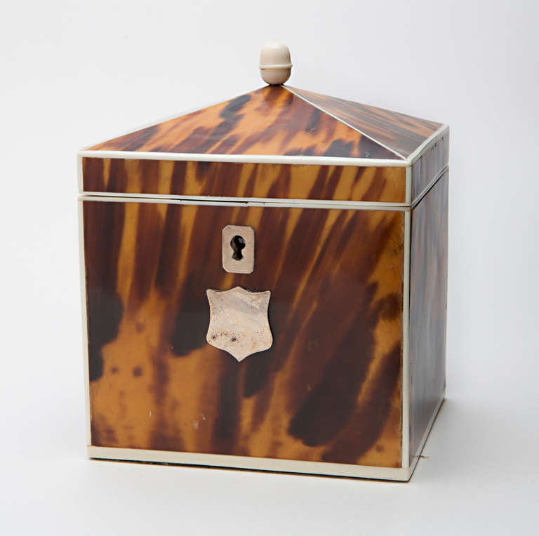 Tortoise Shell Tea Caddy