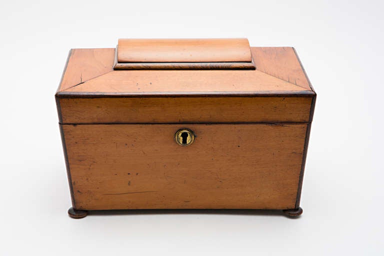 This is a beautiful 19th Century satinwood Tea Caddy with a 2 part interior.  The tea caddy has a domed top and the base sits on bun feet.  