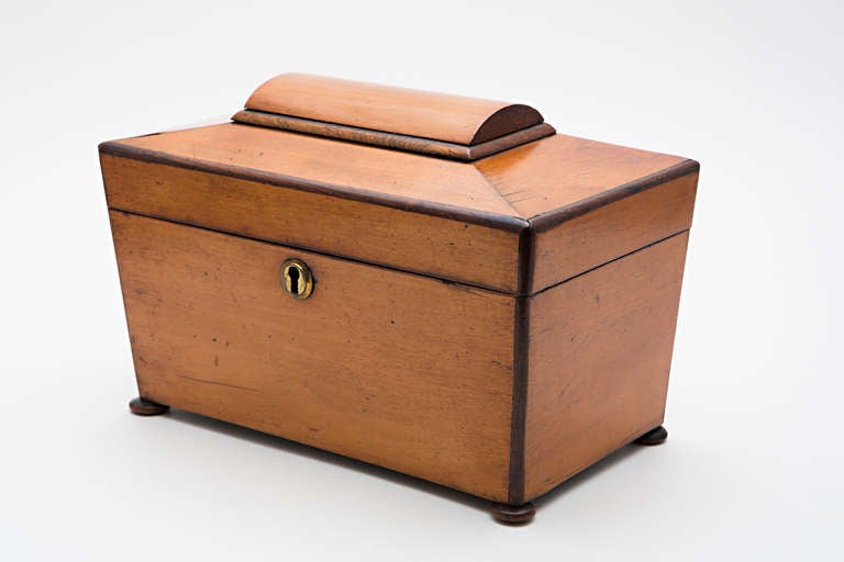 British 19th Century Satinwood Teacaddy For Sale