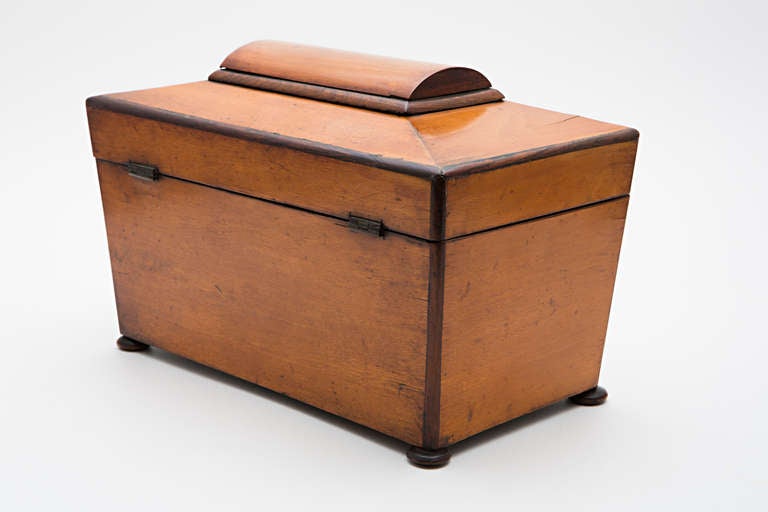 19th Century Satinwood Teacaddy In Excellent Condition For Sale In Nashville, TN