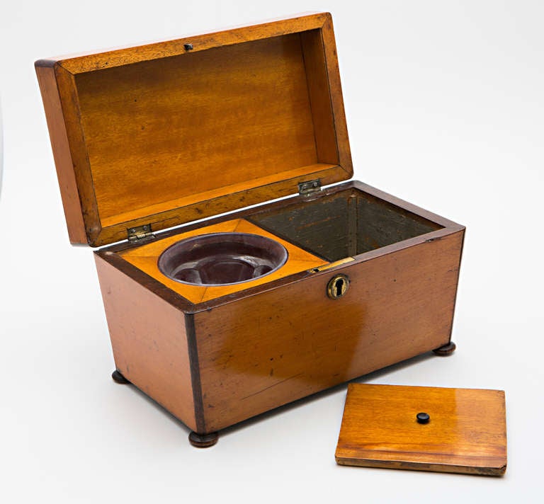 19th Century Satinwood Teacaddy For Sale 3