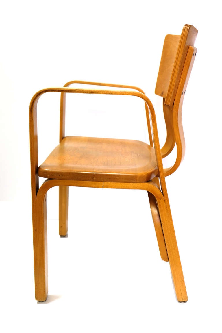 bentwood chairs thonet