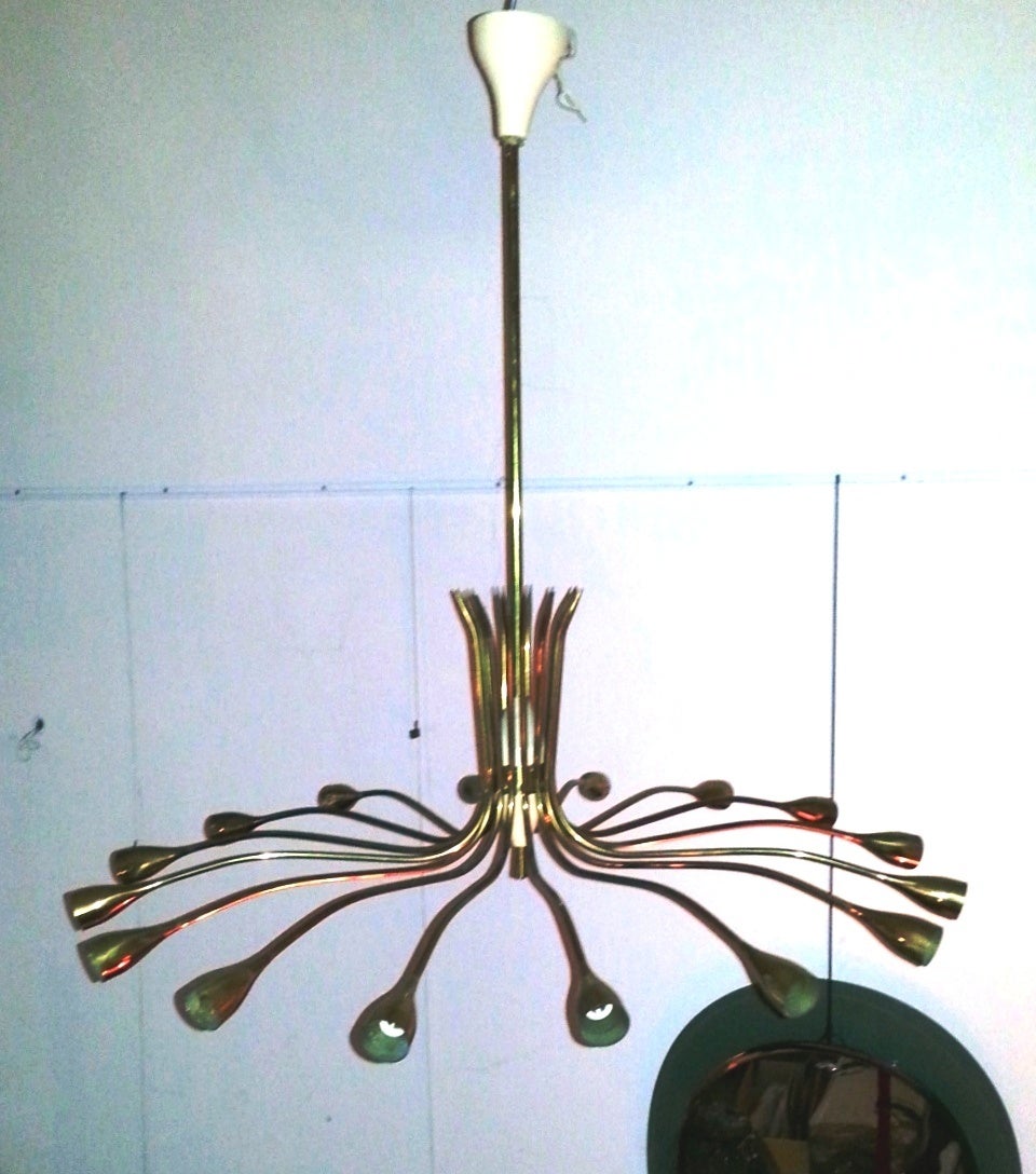 1950's Amazing 16 arms  Ceiling Light- Attributed to Arredoluce