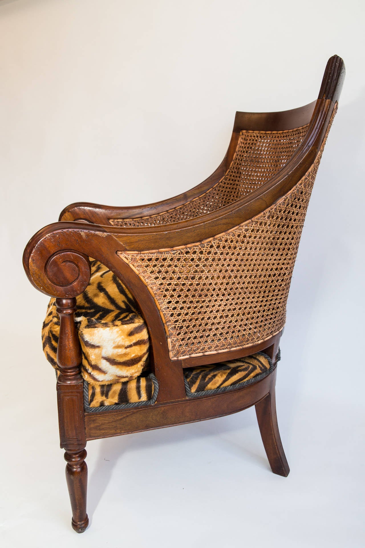 French Very Large Tiger Armchair For Sale