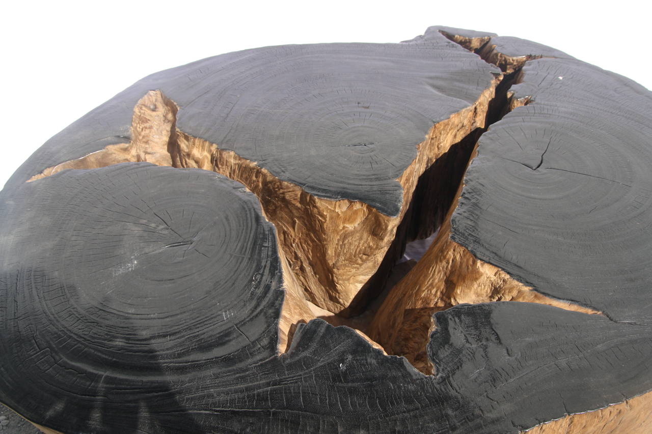 20th Century Round Natural Root Coffee Table