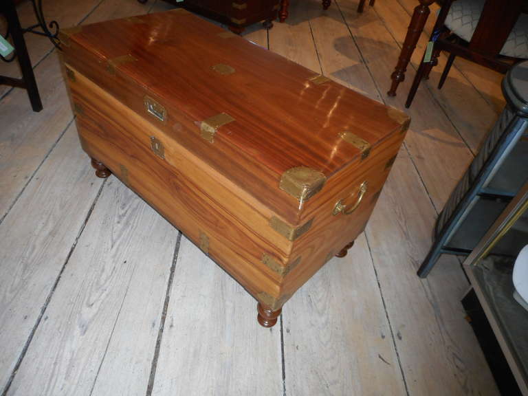 British Indian Ocean Territory Late 19th Century British Campaign Camphor Wood Sea Chest