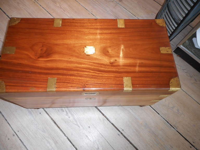 Late 19th Century British Campaign Camphor Wood Sea Chest In Excellent Condition In Nantucket, MA
