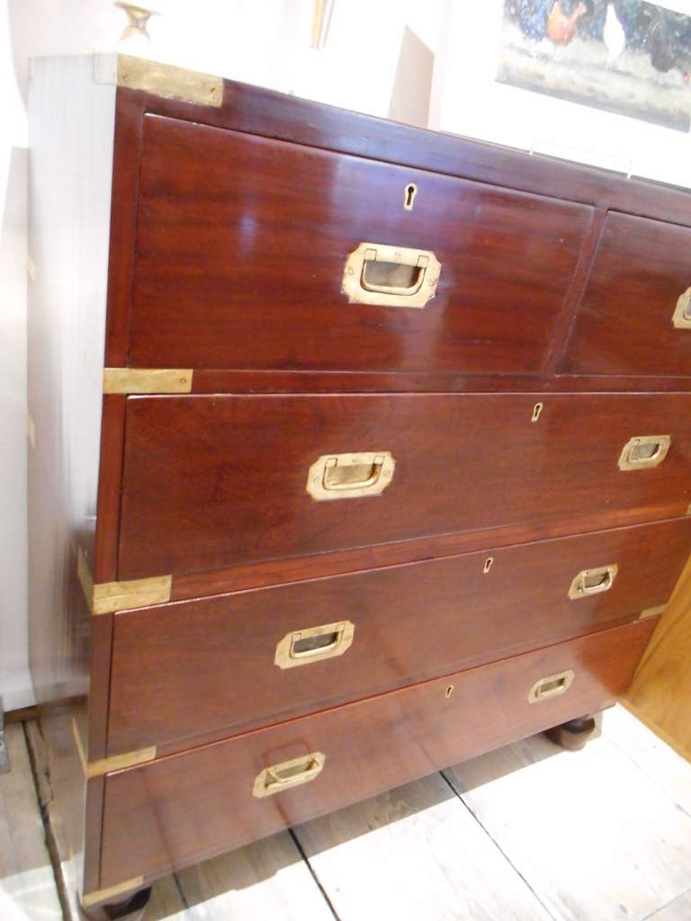 Petite British Campaign Rosewood Chest of Drawers, Early 1900s 4