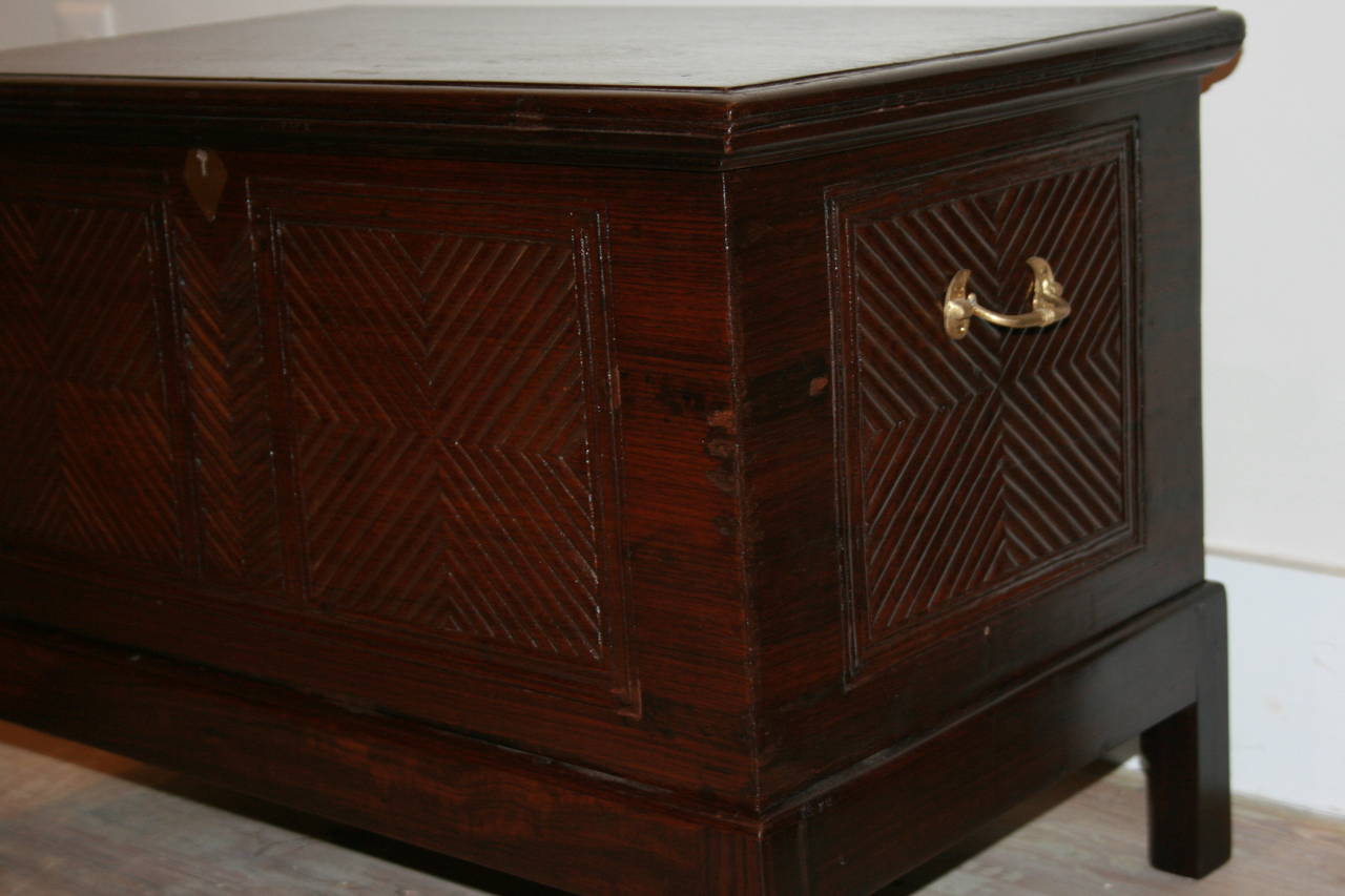 British Campaign rosewood chest with unusual carved reeded detail on all four sides. It has a fitted interior and secret drawers underneath. Great for use as a coffee table on a custom made stand, early 1900s.