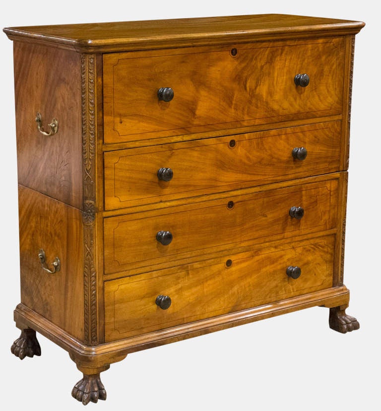 A Regency period camphorwood secretaire chest. The Rectangular top above the full front drawer opening to a baize writing surface, an arrangement of pigeon holes, four small sliding trays, two small trays and a fitted central drawer, above three