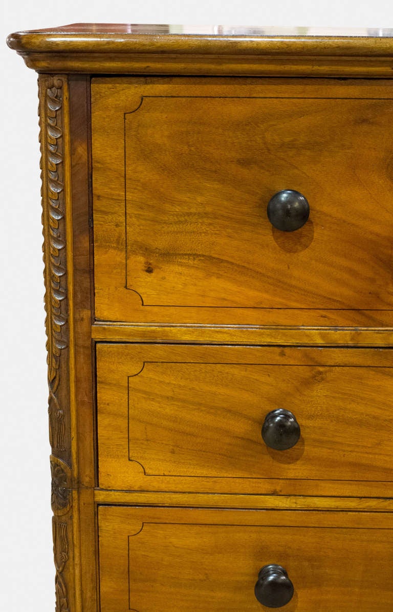 Regency Camphorwood Campaign Secretaire Chest In Good Condition In Bournemouth, GB