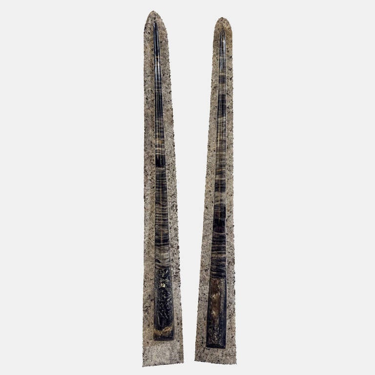 Paar riesige Orthoceras-Fossilien aus Orthoceras im Zustand „Gut“ in Bournemouth, GB