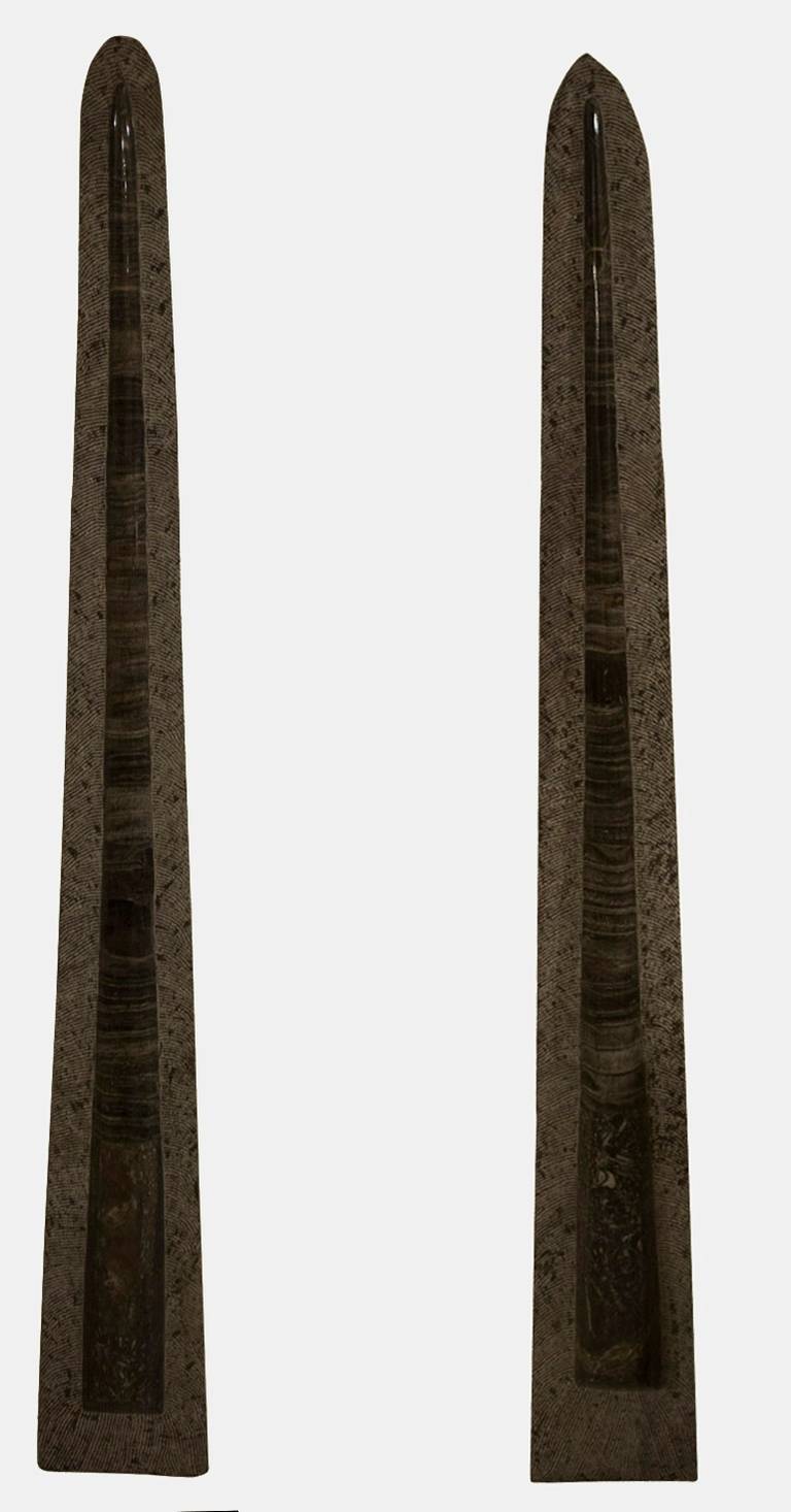 Ein außergewöhnlich seltenes Paar riesiger Orthoceras-Fossilien, die poliert wurden, um die innere Struktur zu enthüllen.
Der perfekte und einzigartige Einrichtungsgegenstand.