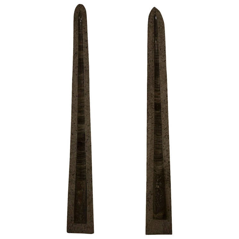 Paar riesige Orthoceras-Fossilien aus Orthoceras
