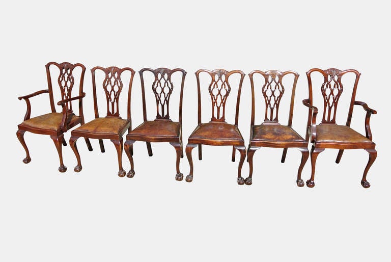 A set of 18 mahogany Chippendale style pierced splat back dining chairs with cabriole legs ending on ball and claw feet with chestnut leather seats, comprising of 16 side chairs and two carvers.