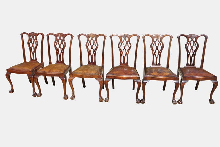 Leather Set of 18 Mahogany Chippendale Style Dining Chairs, 19th Century