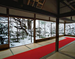 Hōsen-in 1, winter, Northeast Kyoto, 14 February 2011 (14:00–16:30)