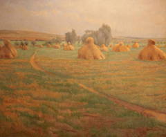 A Harvest Field