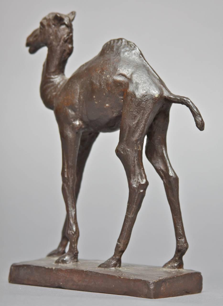 Baby Camel  - Sculpture by Frederick George Roth
