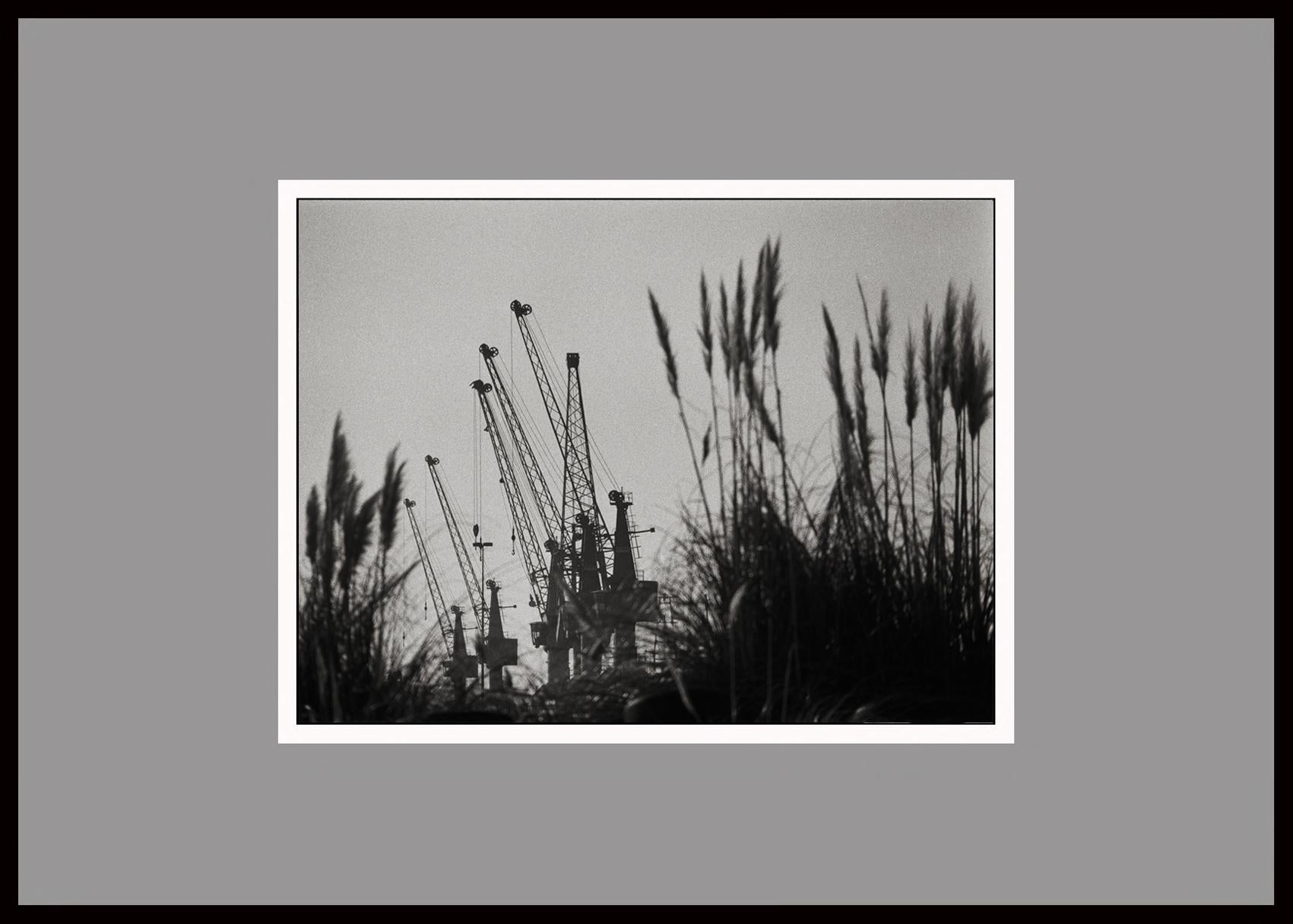 Harbor, Black & White Photography, Gelatin Silver Print, Signed, Portugal 2000 - Gray Landscape Photograph by Ana Maria Cortesão