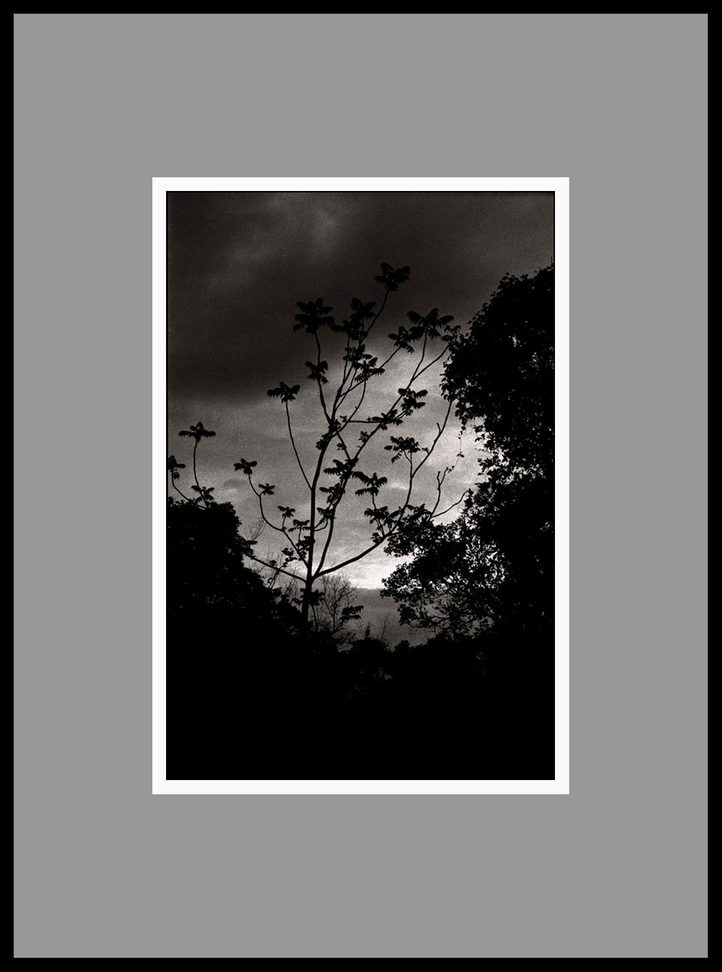 Nightfall, Portugal 2000 /Gelatin Silver Print/ Signed - Photograph by Ana Maria Cortesão