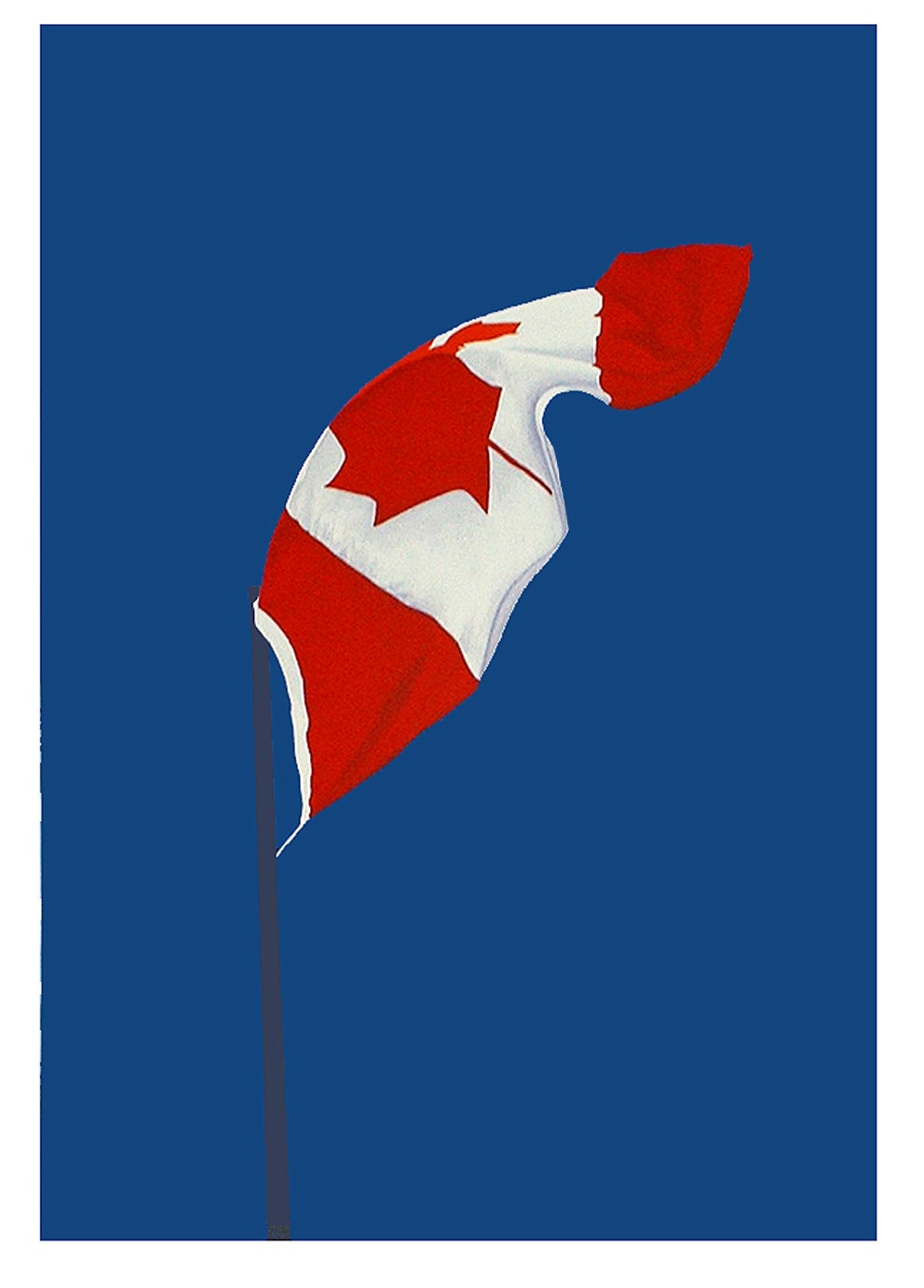 The Painted Flag 46/150 - Print by Charles Pachter