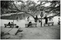 Vintage Central Park Lake