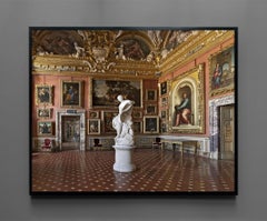Palazzo Pitti, Sala di Venere, Firenze, Italia, 48x60 pollici, senza cornice