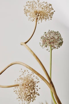 STILL LIFE III, Fashion Photography by Leandro Franco
