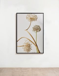 STILL LIFE III, fotografía de moda de Leandro Franco