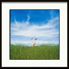 Des jambes dans les hautes herbes