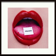 Prada Bubble Gum