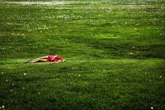 Field of Dreams by David Drebin - Conceptual Color Photograph