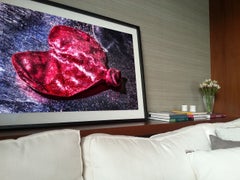 Love Sparkle by David Drebin - Floral Still Life Photograph