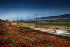 « Magic Highway » de David Drebin - Photographie de paysage cinématographique
