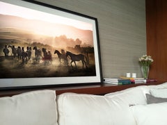Running Wild by David Drebin - Equestrian Photograph