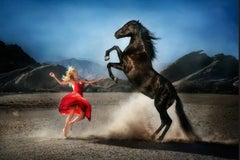 Wild at Heart by David Drebin - Equestrian Photograph