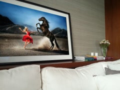 Wild at Heart by David Drebin - Equestrian Photograph