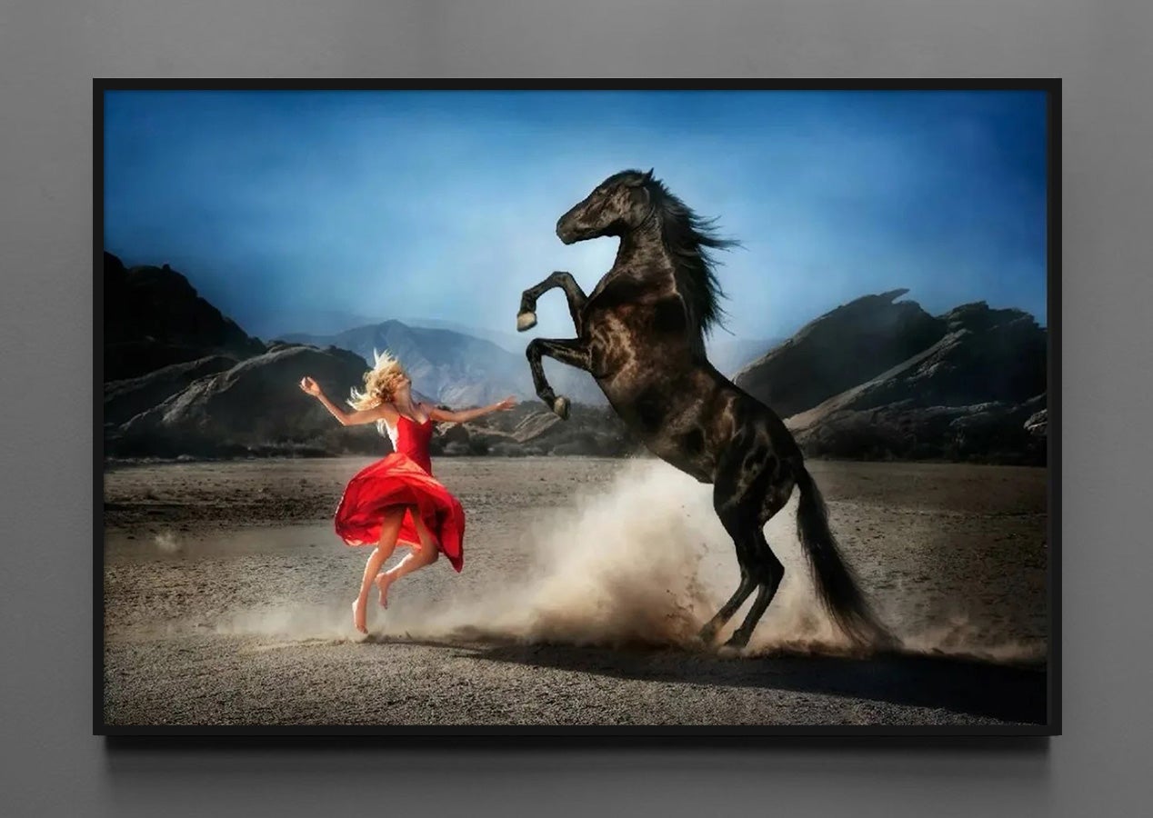 Wild at Heart by David Drebin - Equestrian Photograph