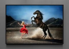 Wild at Heart by David Drebin - Equestrian Photograph